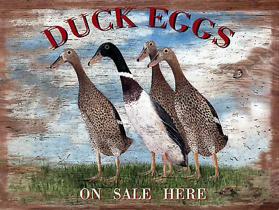 £4.74 • Buy Duck Eggs On Sale, Retro Vintage Aluminium Sign, Gift, Kitchen