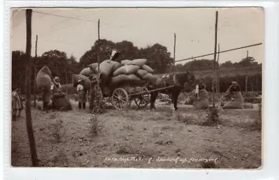 HOP PICKING - LOADING UP FOR DRYING: Kent Postcard (C60083) • £9.95