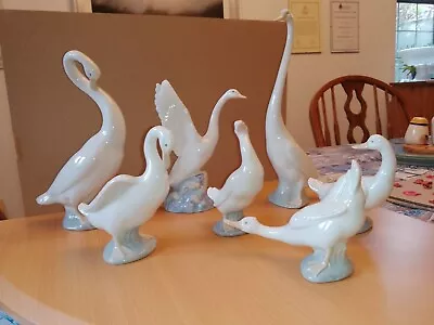 Nao Lladro Figurines Swans Geese And Ducks Seven Pieces In Beautiful Condition  • £45