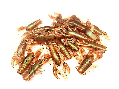 (10) 1  Micro Craw Finesse Drop Shot Crappie Jig Bluegill Swamp Crawdad • $9.45