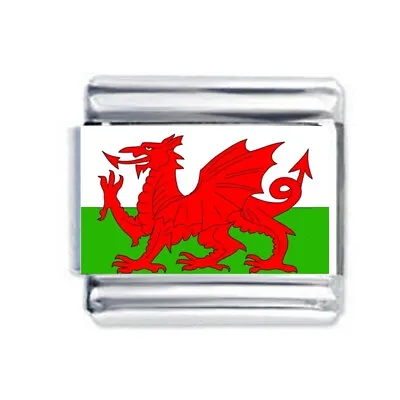 Colorev By Daisy Charm - WELSH FLAG Wales For 9mm Italian Modular Charm Bracelet • £4.81