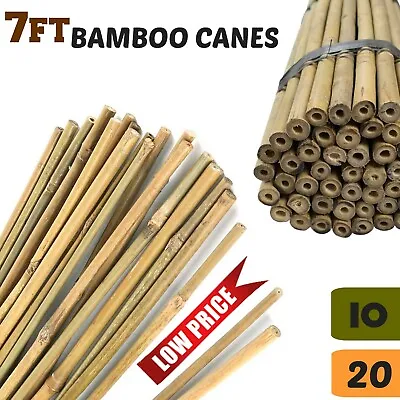 7FT Bamboo Garden Canes Large Heavy Duty Plant Flower Support Wooden Stake Cane  • £19.93
