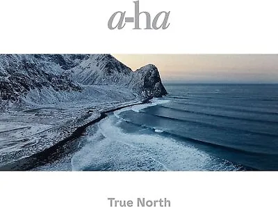 A-ha TRUE NORTH W/ 1 BONUS TRACK JAPAN CD From Japan NEW • £31.79