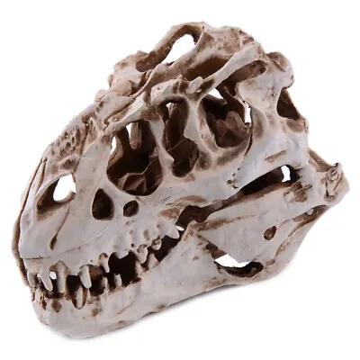 Retro Tyrannosaurus T-Rex Skull Resin Fossil Model Dinosaur Collectibles Replica • £23.80