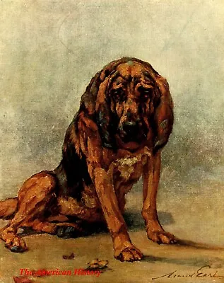 3438 Earl Maud (1864-1943) - 1910 Power Of The Dog - Bloodhound • $7.43