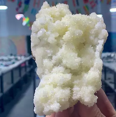 455G Museum Quality White Flowery Hydrozincite Crystal Cluster Mineral Specimen • $0.99