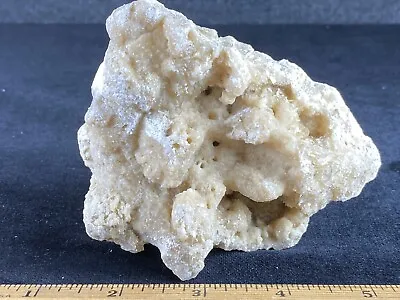 Calcite Crystals Replacing Fossil Coral - Ancient Florida Coral Reef  • $7.50