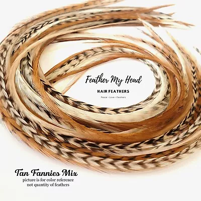 Feather Hair Extensions 6 Pc Optional Kit Short - Mega Long Tan Fannies • $12