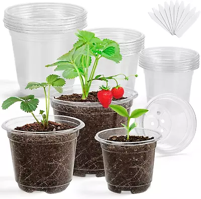 Clear Nursery Pots For Plants3.5/4/5 Inch Plant Pot For Planting Plastic Seedli • $23.74