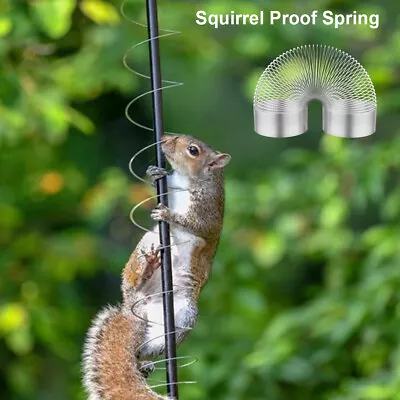 £6.53 • Buy Squirrel-Proof Spring Device Metal Squirrel-Proof Spring Squirrel Barrier WalYs