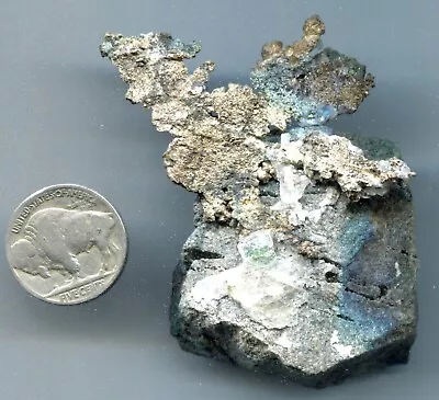 White Pine Copper Mine Native Silver On Nonesuch Shale Matrix See Scans • $199.99