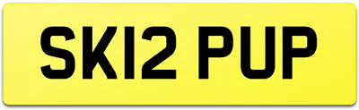 SKIP UP ! NUMBER PLATE SK12 PUP SKIPS HIRE LOADER TRUCK WASTE LORRY Co MINI MIDI • £449