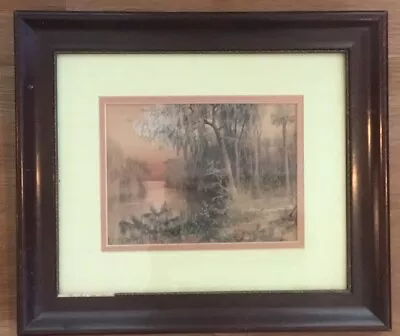Vintage Hand Colored Florida Photograph In Old  Frame Barnhill? • $22