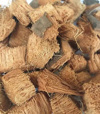 Coconut Husk Chips Natural 100% For Organic For Orchids Fiber Anthurium Growing • £21.76