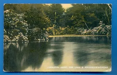 Cobhamkent.the Lake & Rhododendrons.postcard Posted 1904 • £0.99