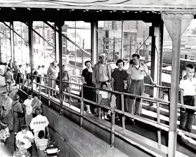 Chicago Cubs Fans At Wrigley Field Ride A Moving Ramp 1956 Photo • $12