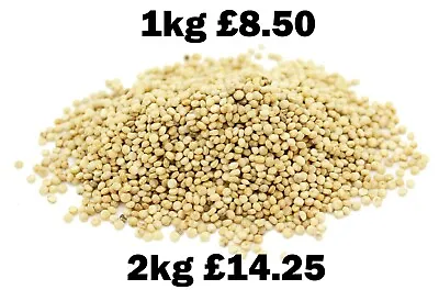 £3.49 • Buy White Quinoa Organically Grown 100g 250g 500g 1kg 2kg Quinoa Grain *SALE*
