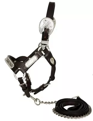 New Showman Leather Silver Show Halter W Matching Lead MINI Minatare Horse 102M • $54.94