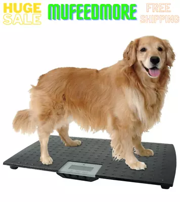 $104.87 • Buy Large Digital Pet Scale Veterinary Animal Weight Pet Dog Cat Black NEW