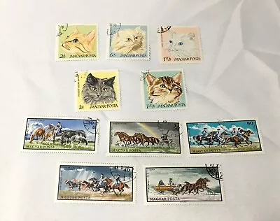 Lot Of 10 Hungary Postage Stamps / Magyar Posta / Cats & Horses / 1968 • $5.99