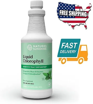 16 Oz Liquid Health Bottle Kosher Fresh Mint Chlorophyllin Assist Detoxification • $29