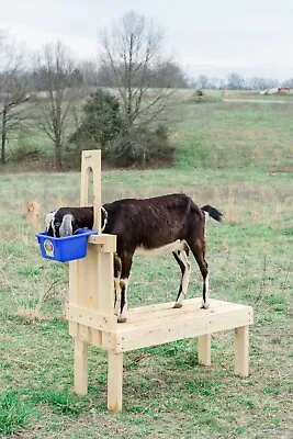 New Small Goat Milking Stand For Pygmy And Nigerian Dwarf Goats 32in. Natural • $195