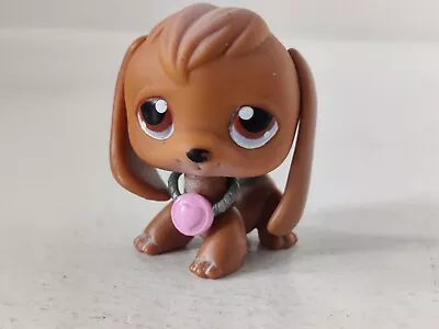 2004 Hasbro LPS Littlest Pet Shop Brown Beagle #16 With Collar Free Shipping • £16.99