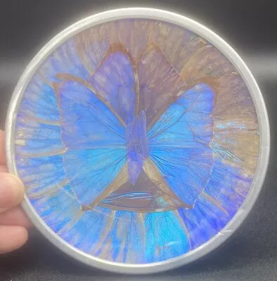 Vintage Blue Morpho Butterfly Wing Plate Art Wall Brazil Hanging Decor 5” • $39.99