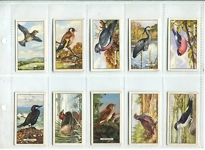 British Birds 1937 Gallaher Cigarette Cards - Full Set Of 48 Cards • £2.50