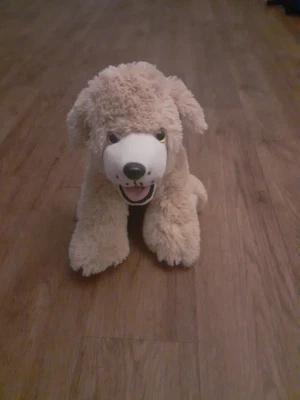 £5 • Buy Teddy Mountain Dog