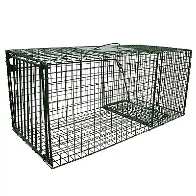 Duke Traps Heavy Duty Large Raccoon And Fox Trap (1114) Raccoons Foxes And Cats • $149.95