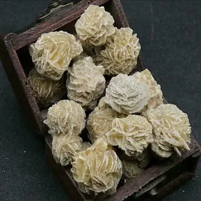 $2.10 • Buy Bulk Desert Rose Selenite Stones Crystal Healing Love Bud Stones~