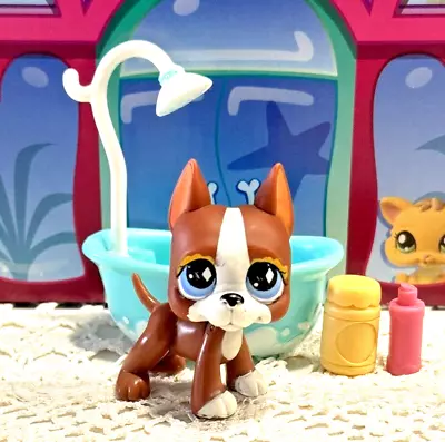 Littlest Pet Shop Lps Authentic Brown & White Great Dane Dog #588 & Accessories • $44.62