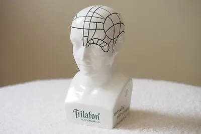 Vintage Porcelain Schering Trilafon Full-Range Tranquilizer Bust Phrenology Head • $69