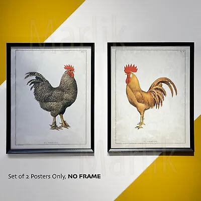 Pack Of 2 - Ikea BILD Poster Picture 16x20  ( No Frame ) Farmyard Roosters NEW • $19.95