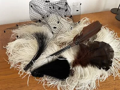£84.99 • Buy Vintage Antique Old Hat Bird Feathers Trimmings Ostrich Boa Net