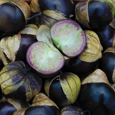 Tomatillo Purple & Banana Finger & Marmande Tomato & Aubergine Long Purple Seeds • £2.59