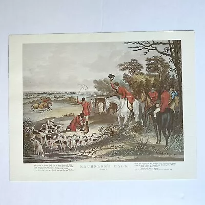 Francis Turner Bachelor's Hall Print Plate 5 Fox Hunt Lithograph Repro Unframed • $89