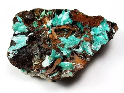 Minerals : Light Blue Aurichalcite Xtls On Matrix From The Ojuela Mine In Mexico • $3.25