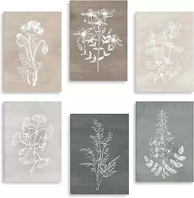 Neutral Botanical Plant Canvas 6 Pieces Rustic Farmhouse Wall Art For Living Roo • $59.72