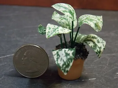 Dollhouse Miniature Green Plant Pot Indoor 1:12 Inch Scale B429 Dollys Gallery • $25.63