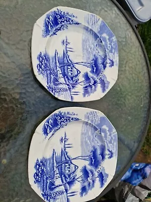 Pallisy Lakeland Decorative Plates X 2 ( Slight Damage) Box 23 • £5