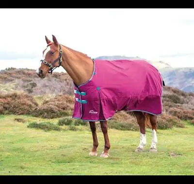 £74.69 • Buy Shires Highlander 300g Heavyweight Horse/Pony Turnout Rug In Raspberry