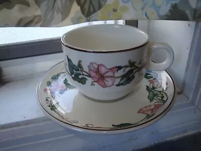 Exc Villeroy & Boch Palermo Discontinued Cup Saucer Set Luxembourg • $13.70