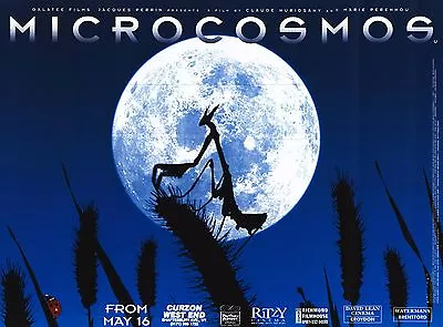 MOVIE POSTER~Microcosmos 1996 30x40  British Quad Jacques Perrin Original~NOS • $19.88