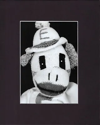 8X10  Matted Print Art Picture Photo Sock Monkey E Boy Hat • $14.95