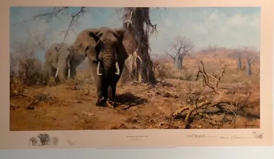 The Land Of The Baobab Trees David Shepherd  Elephant Unusual Item One Off • £1500