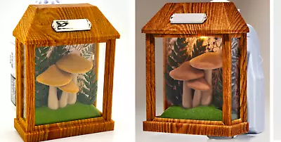 BATH & BODY WORKS Mushroom Terrarium Nightlight Wallflowers Fragrance Plug *SH15 • $15.39