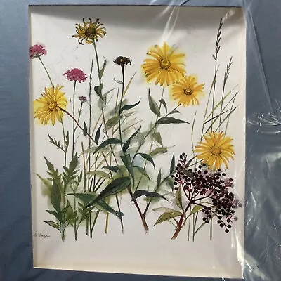 Original Water Color  Litho By Mads Stage Danish Artist Signed 1960’s Flowers • $29