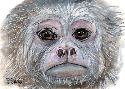 ACEO Rhesus Monkey Face Frown Sad Realistic Watercolor Painting Penny StewArt • $15.99